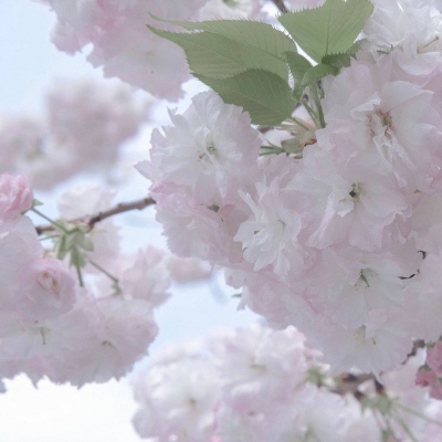 Furry插画细节设计Furry群